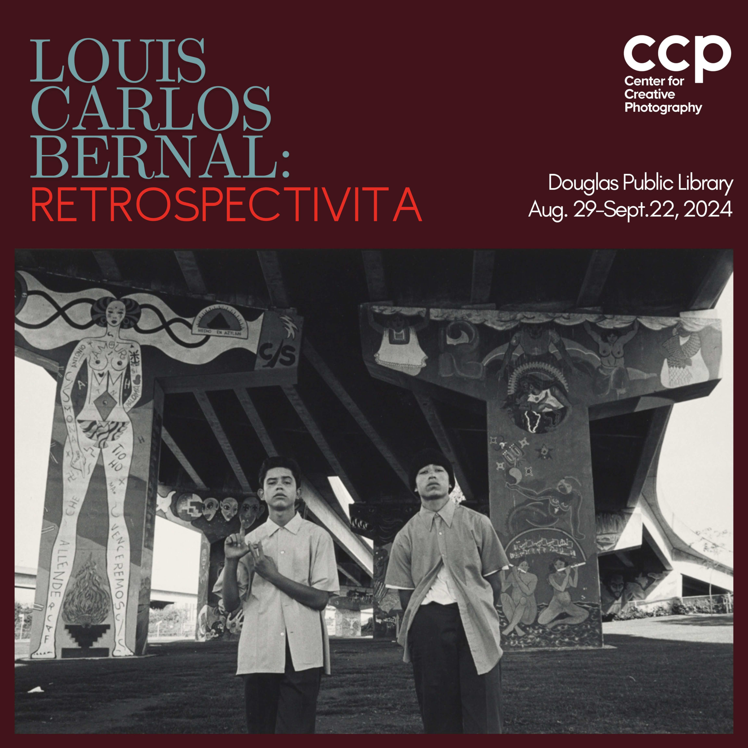 Retrospectivita Douglas Public Library